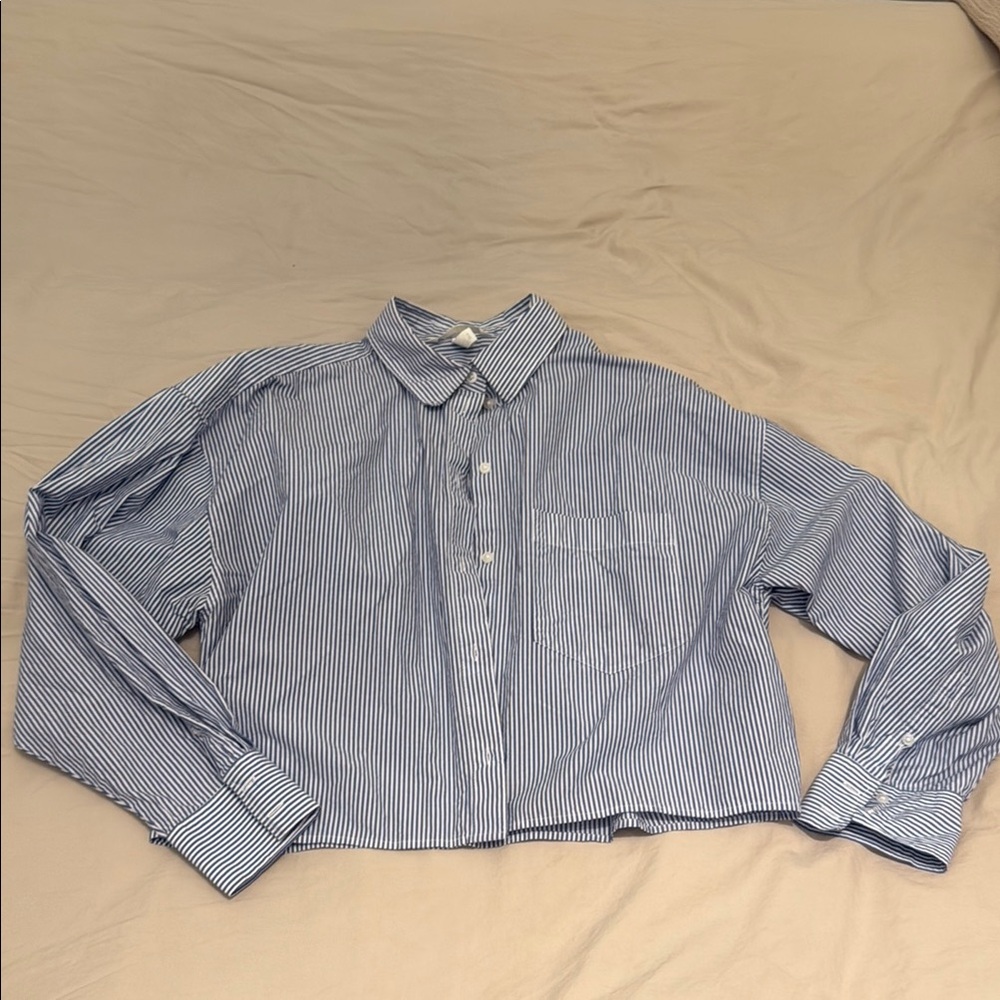 H&M Blue Striped Button Down Shirt